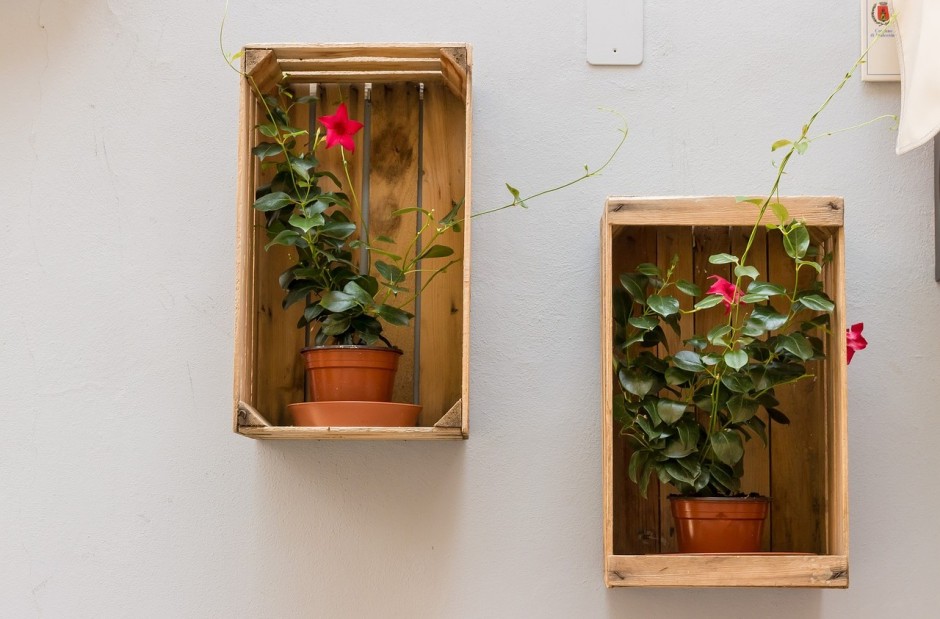 Hangplanten voor in huis wonen & zo